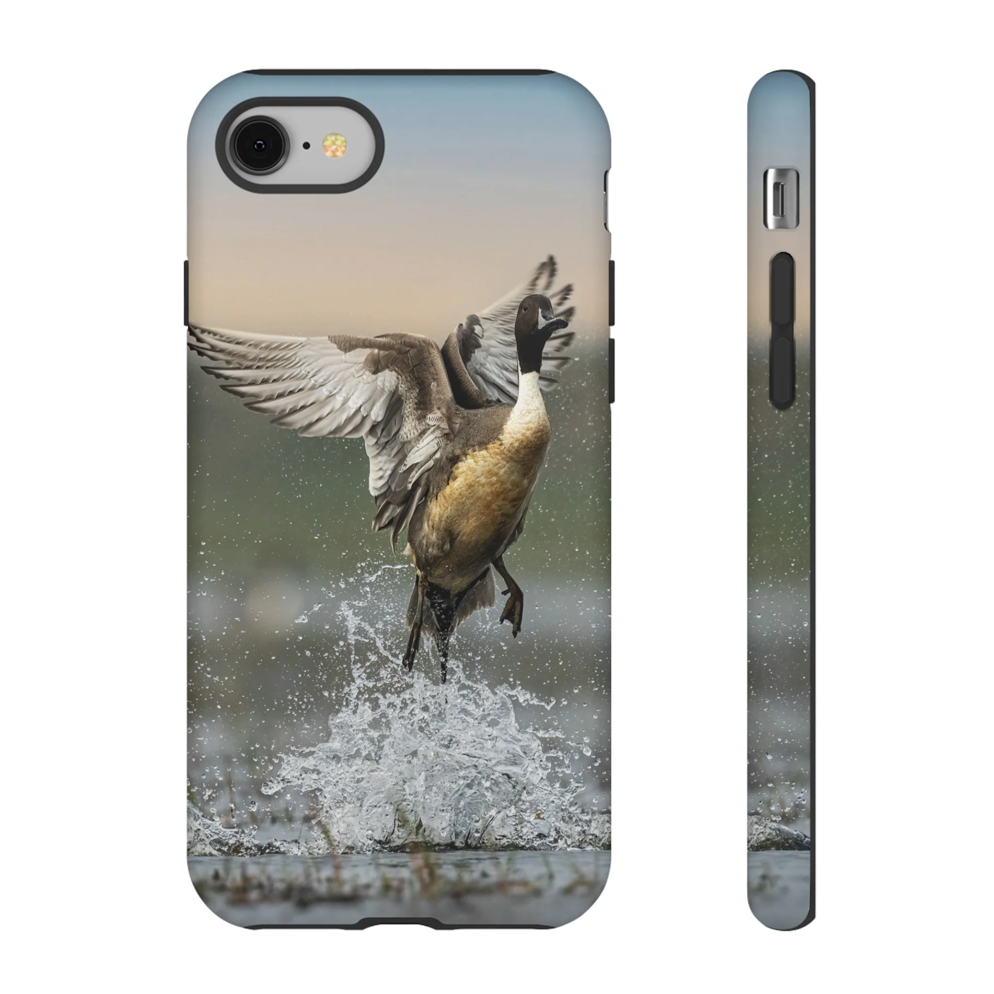 Pintail Drake Tough Case