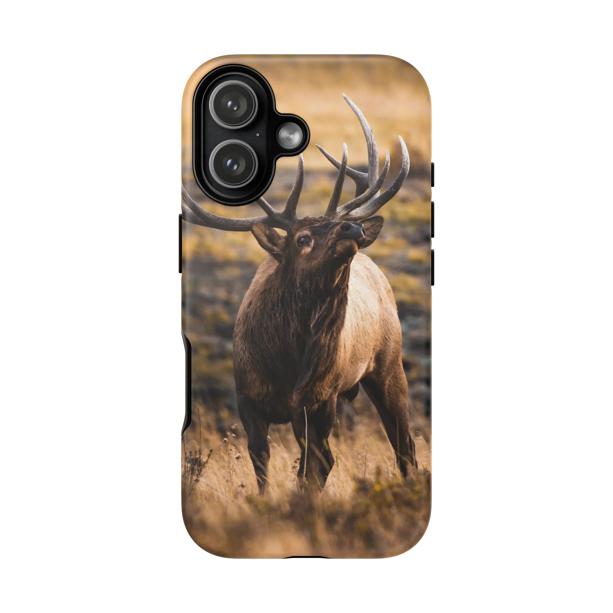 Bull Elk Tough Case